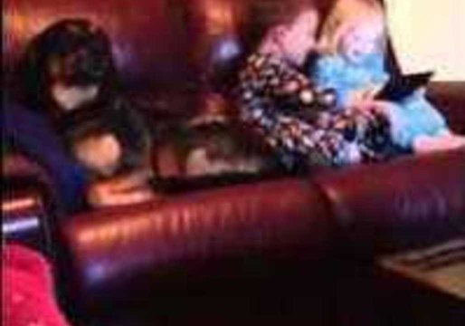 Dog Howls Excitedly as Kids Play With iPad
