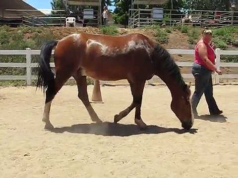 Son cheval se couche dans le sable et elle ne comprend pas pourquoi, jusqu’au moment où… OMG!!