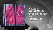 A Place To Bury Strangers - 
