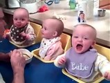 These Triplets Enjoy a Little Dinnertime Conversation