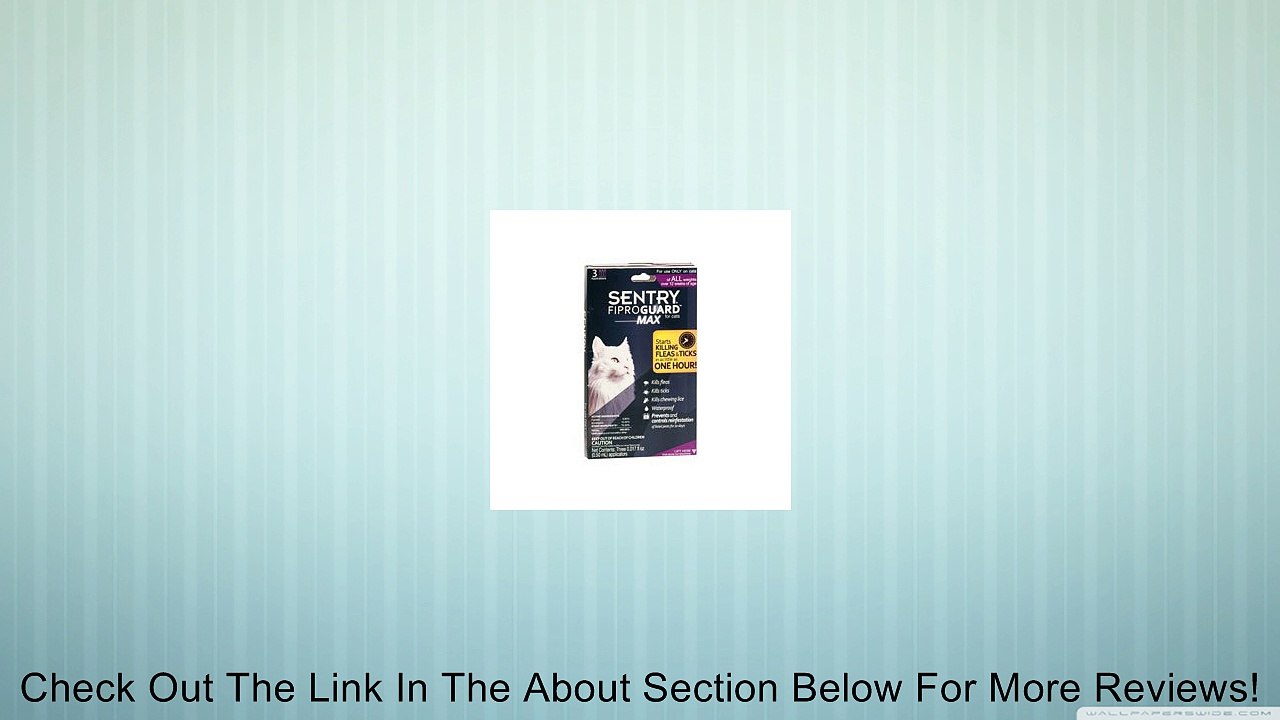 FiproGuard Maximum 6-Month Cats Over 12 Weeks, Purple Review