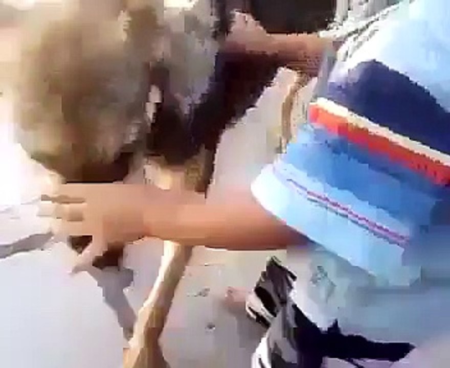 Dog Teasing A Boy Very Funny Must Watch - Rajushah384