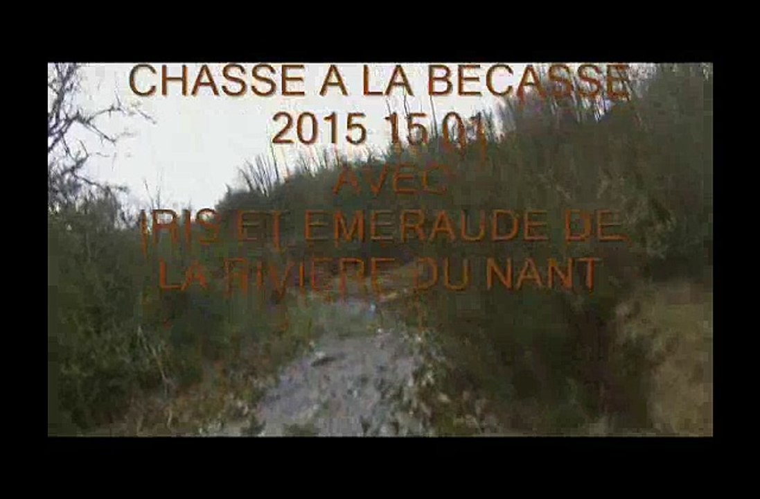 CHASSE LE 15.01.2015_0002