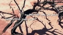 شيلة برق الحيا اداء صنهات العتيبي - YouTube