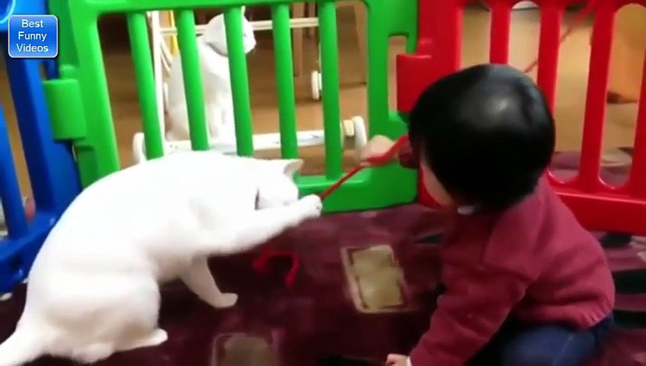 Funny Videos - Funny Cats - Funny Vines - Funny Pranks - Funny Babies - Funny Animals - Funny Fails