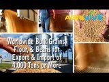 Bulk Feed Wheat Purchase, Bulk Feed Wheat, Bulk Feed Wheat, Wholesale Bulk Feed Wheat, Bulk Feed Wheat, Wholesale Bulk, Feed Wheat Grade 1, Feed Wheat Grade 2, Feed Wheat Grade 3