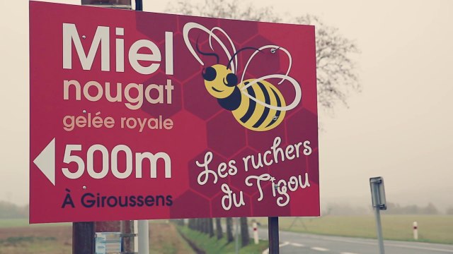 WEBSERIE ENTREPRENDRE #7 : le handicap dans les métiers de l'apiculture - Tarn