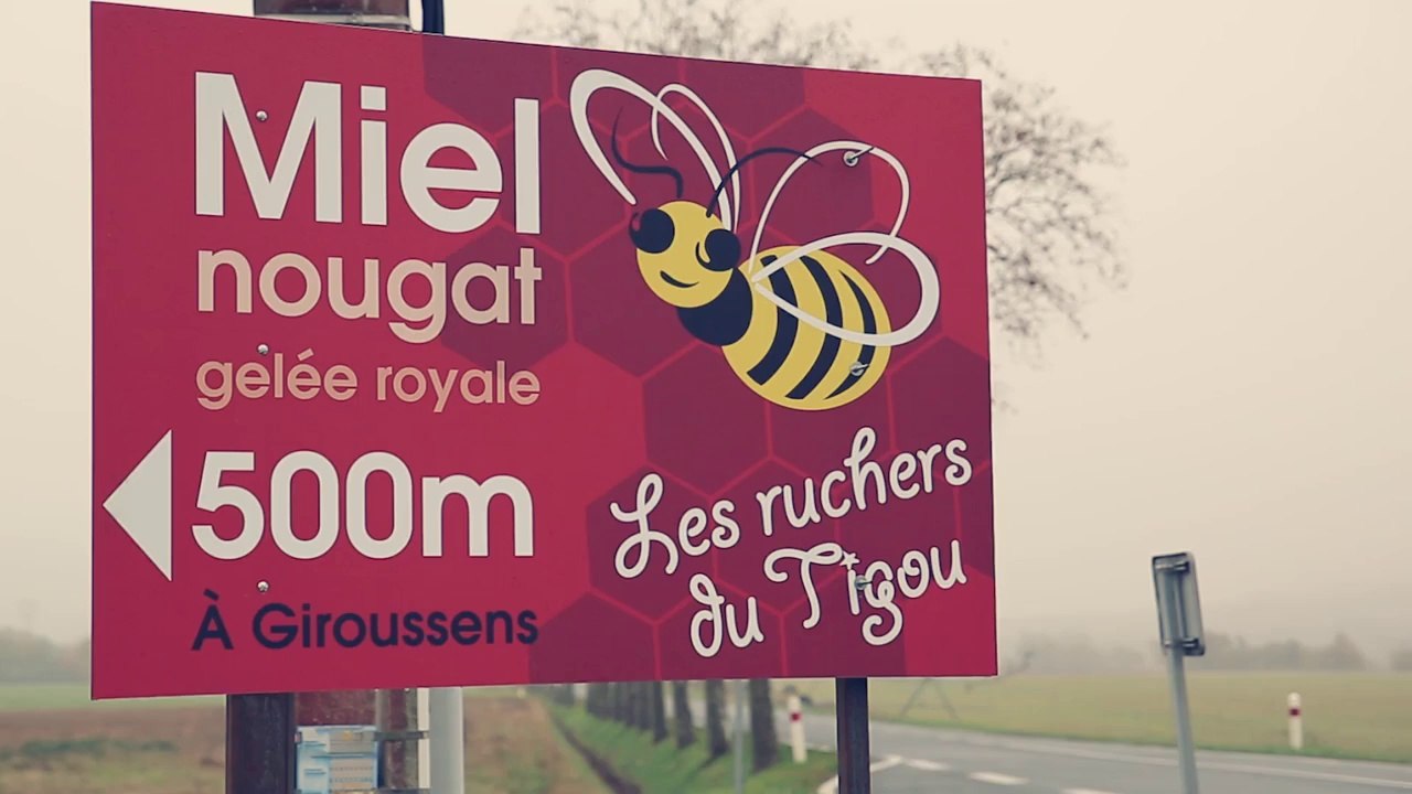 WEBSERIE ENTREPRENDRE #7 : le handicap dans les métiers de l'apiculture - Tarn