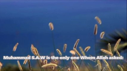 How Angel of Death took Muhammad (SAW)s Soul ᴴᴰ - Tariq Jameel -