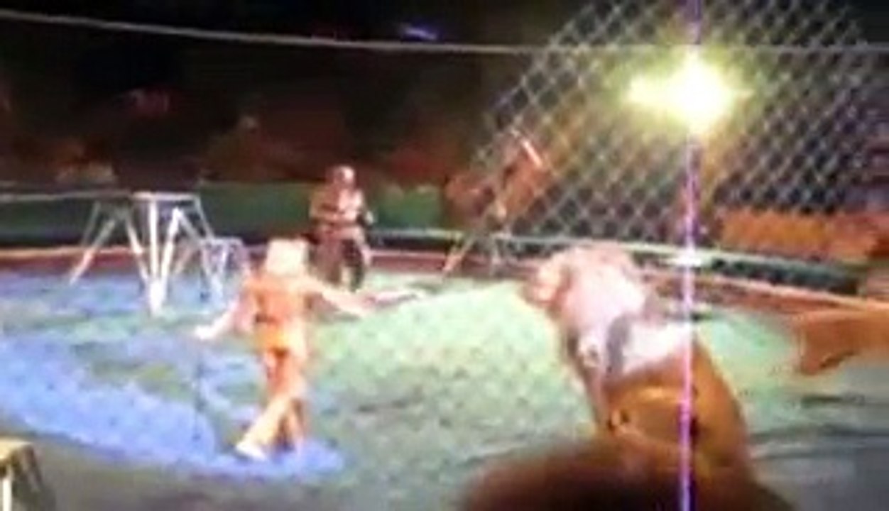 OMG !!! Live Attack of Lion during CIRCUS Show