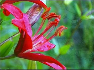 003 - Божий мир и Божественное Откровение