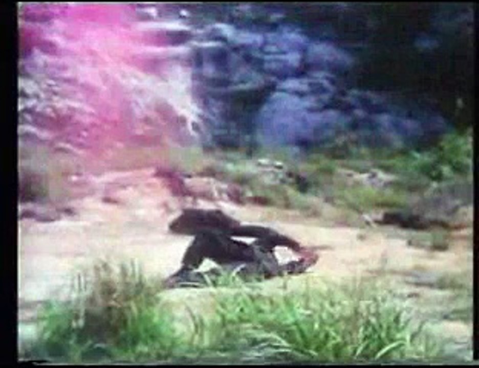 Yo no podré vengarte, pero se que lo harán los ninjas púrpura