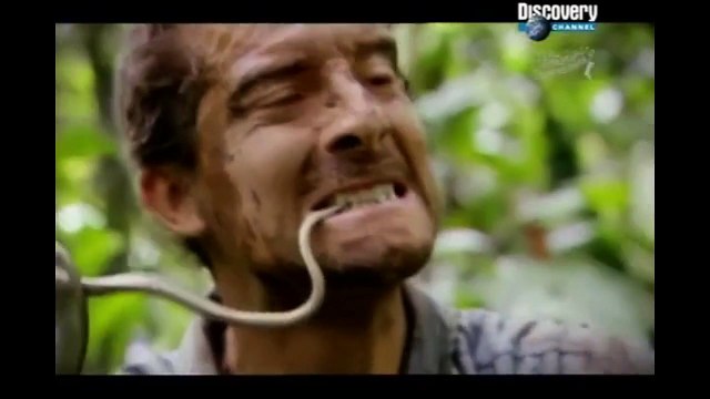 RYTP: Беар Гриллс | Выжить любой ценой