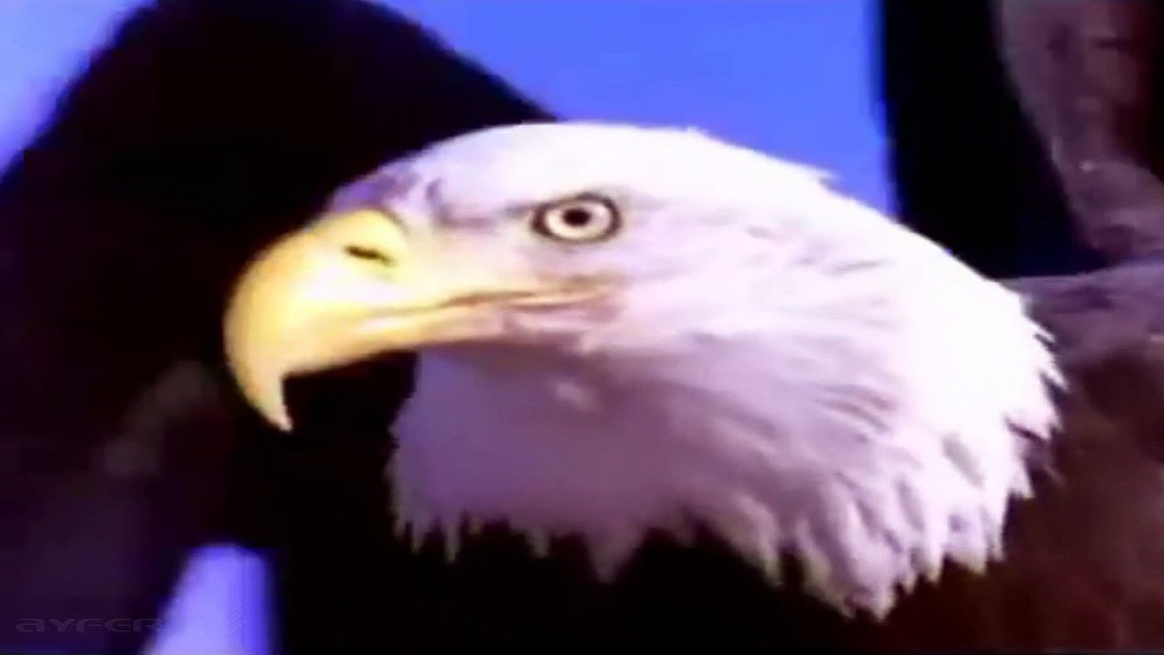 Medwyn Goodall - Sun Drumming  ☆彡