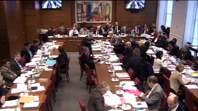 Emmanuel Macron défend un article de sa loi croissance en parlant de ratatouille et de piperade à l'Assemblée