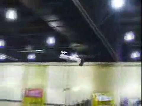 Acrobatie avec un avion radio-télécommandé