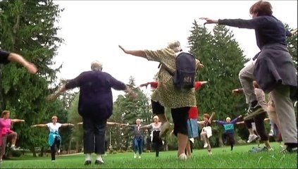 JT DES VOIRONNAIS - 15 Janvier 2015