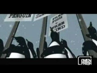 The Shins - So Says I