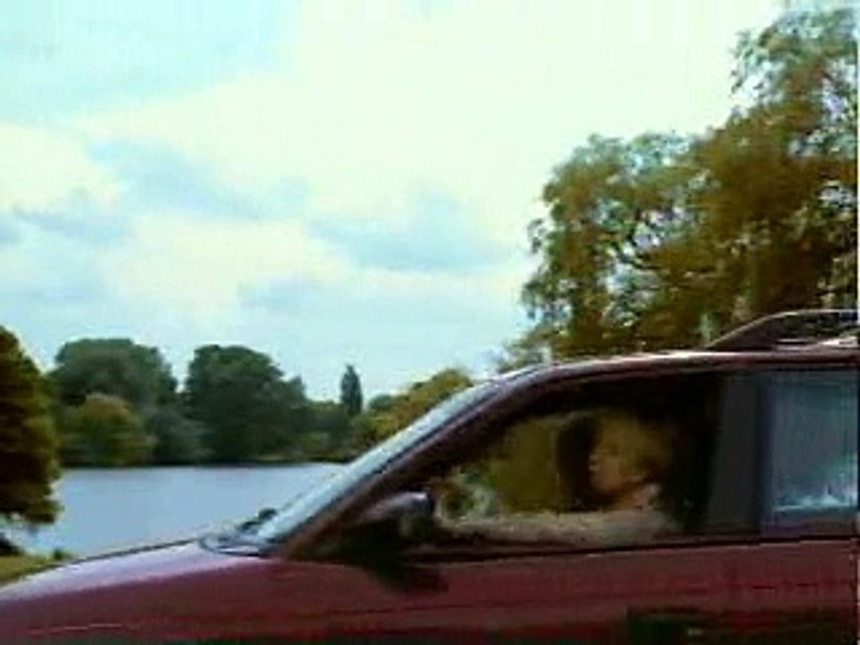 Pub McDonalds (Pêche)