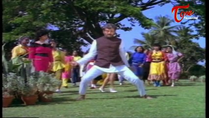 Peddinti Alludu Movie Songs || Kallemoodata  || Suman || Nagma