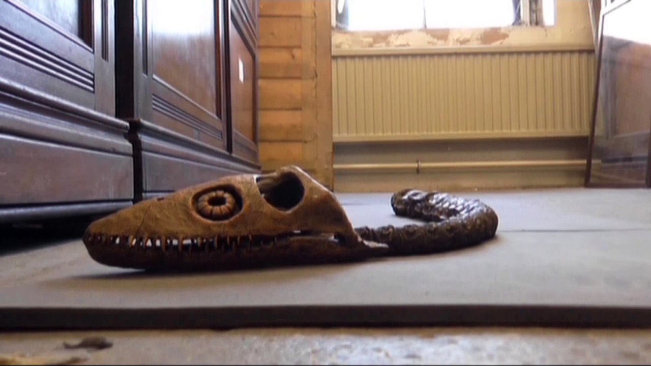 Building a Plesiosaur skeleton