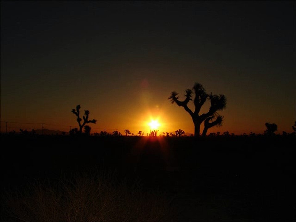 Origins of Human Consciousness and Language: Owen Barfield, Ernst Cassirer, an Interview with Samuel Zinner