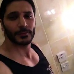 un chat qui adore l'eau