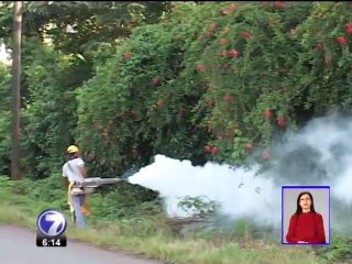 El dengue sigue avanzando y ya se reportan varios casos en el Valle Central