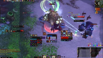 Guild raid on 1 14 15