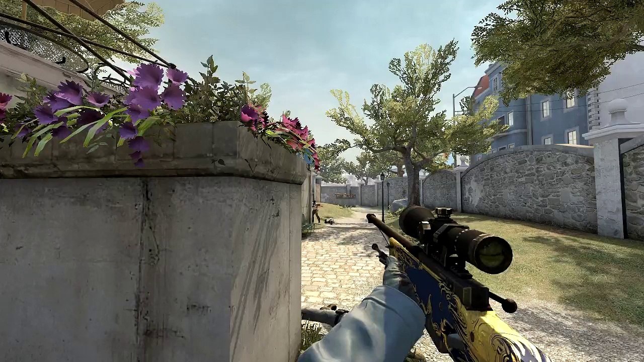 Antimates Montage CS GO