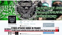 19,000 French websites hit by cyberattacks since Paris terror spree