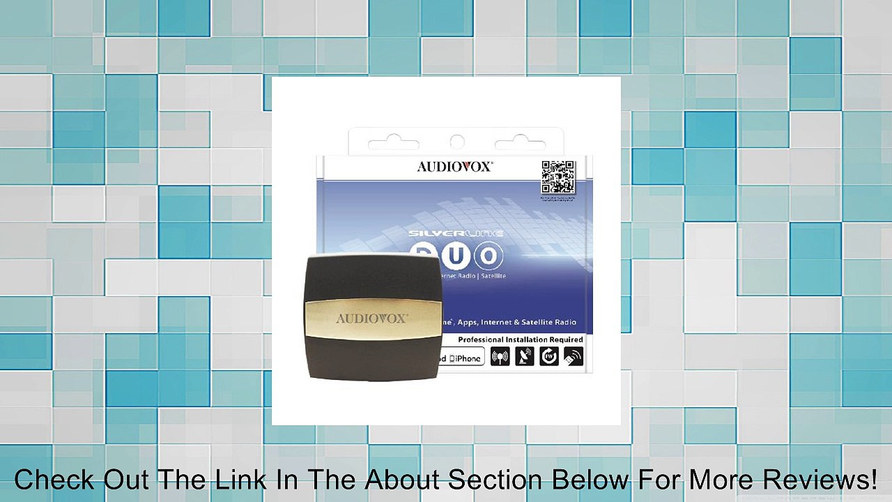 Audiovox ADUO-100-BMW - Silverline DUO for BMW and Mini Cooper Review