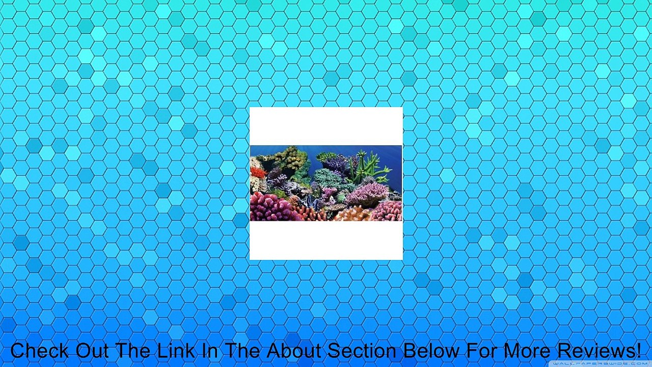 Aquatic Creations Static Cling Aquarium Background, 36 by 18-Inch, Coral Review
