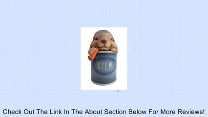 Southern Patio Statuary Bunny Stew 5.31 In. X 5.12 In. X 9.69 In. Polyresin Review