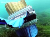 Four-finned robot swims like a cuttlefish (UrduPoint.com)