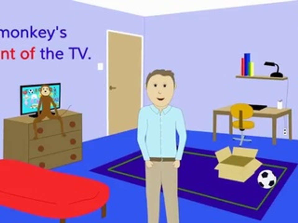 Where's the Monkey