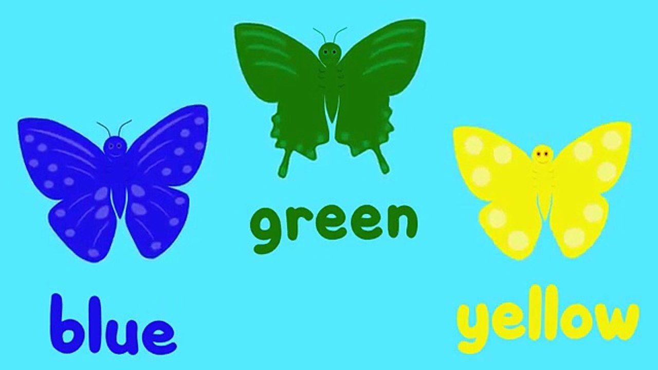 Butterfly Colors Song 2