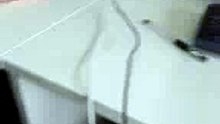 VID_20150114_103350.mp4