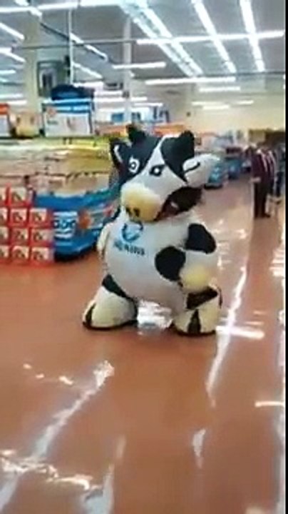 Vous n'avez jamais vu une mascotte faire son travail avec autant de passion !