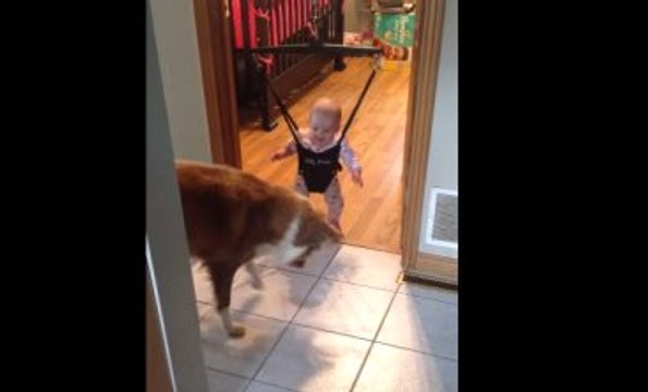Bebeğe Zıplamayı Öğreten Köpek