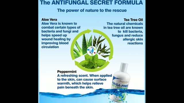 Tea Tree Oil Uses - An All Natural Fungus Killer