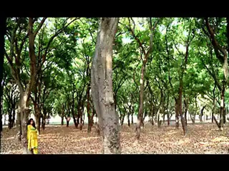 Jo Chaley Tou Jaan Se Guzar Gaye song Ost