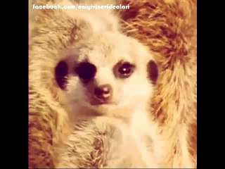 Derste Uykum Gelince Ben