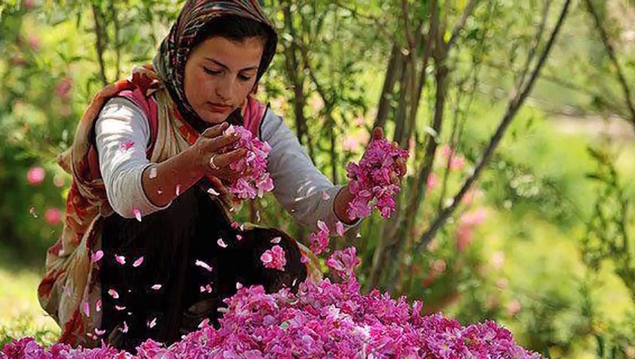 EŞARBINI YAN BAĞLAMA ..HALAY..MARAŞLI HEMŞEHRİMİZ SULTANIMIZ NESLİHAN BALTACI