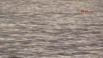 Muğla Datça Sahil Güvenliğe Yakalanmak İstemeyen Kaptan Suya Atladı- Ek2