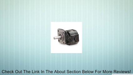 Pump, Gear, 0.6 GPM Review