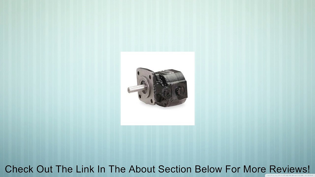 Pump, Gear, 0.6 GPM Review