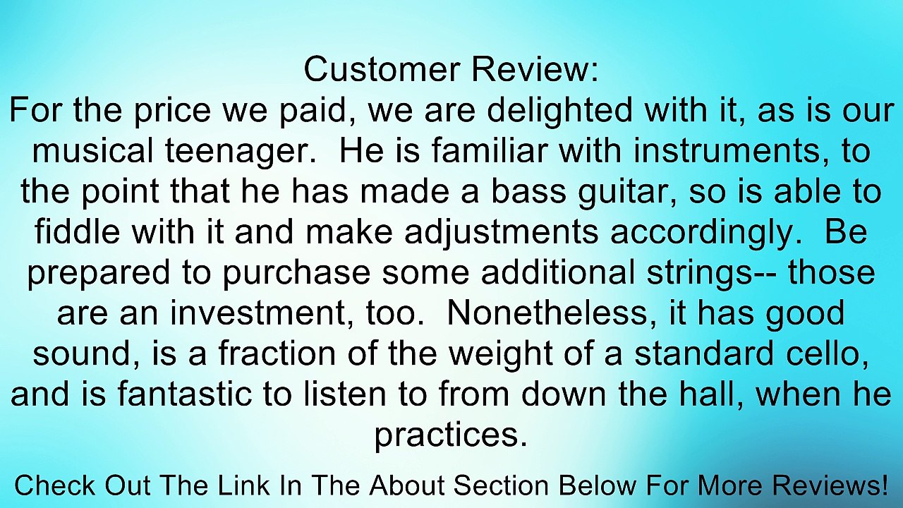 Cecilio 4/4 CECO-1BK Black Metallic Electric Cello with Ebony Fittings in Style 1 (Full Size) Review