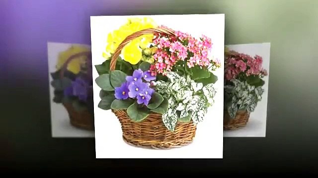 Sympathy and Funeral Flowers by Flowers by Katrina Joppa Maryland and Nationwide