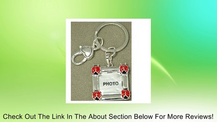 Keyring ~ Ladybug Theme ~ Photo Frame Review
